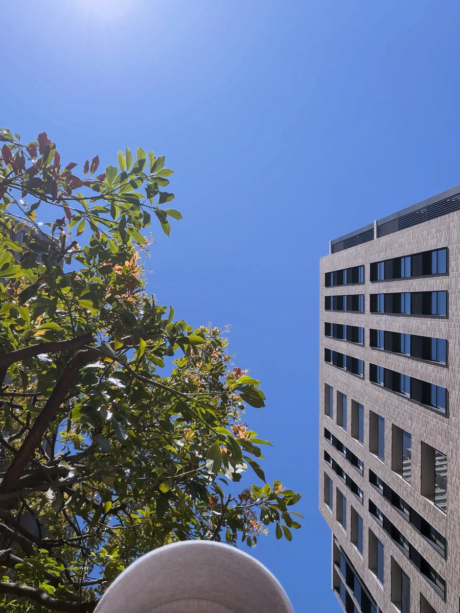 ゆうき＠しゃかりき🎤🎪 tweet media