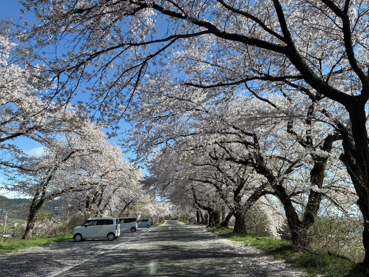 もんも tweet media