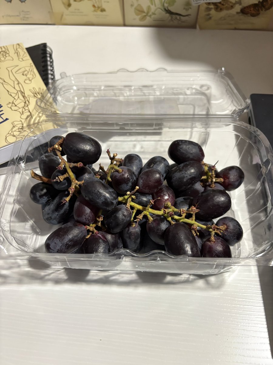 Misa𐙚 tweet media