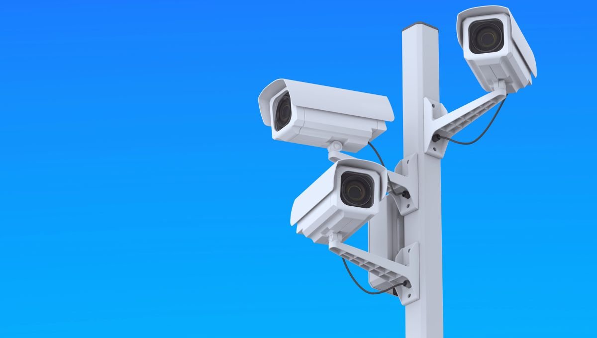 El Mundo del Derecho tweet media