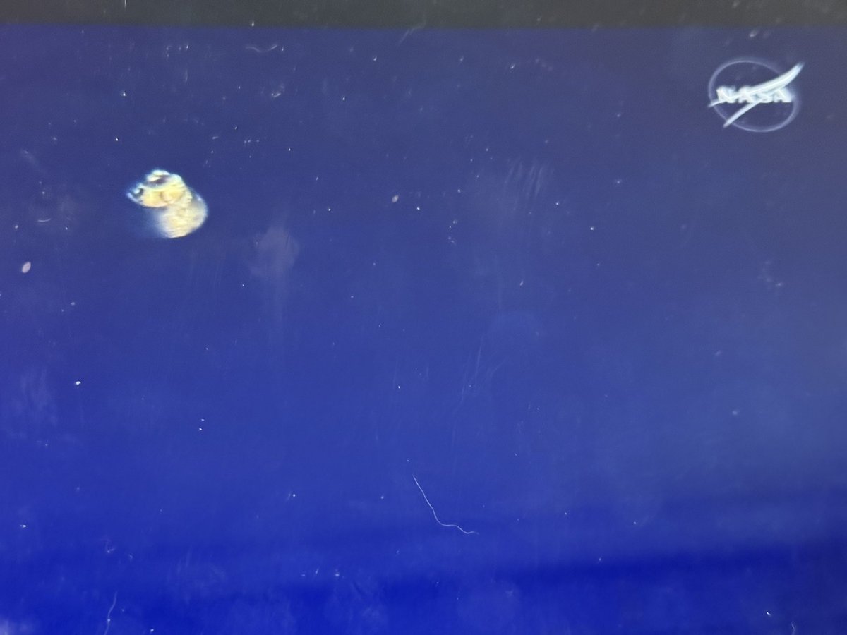 A perfect bullseye splashdown!