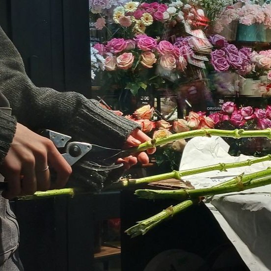 ꒰🐞꒱ Mellory tweet media