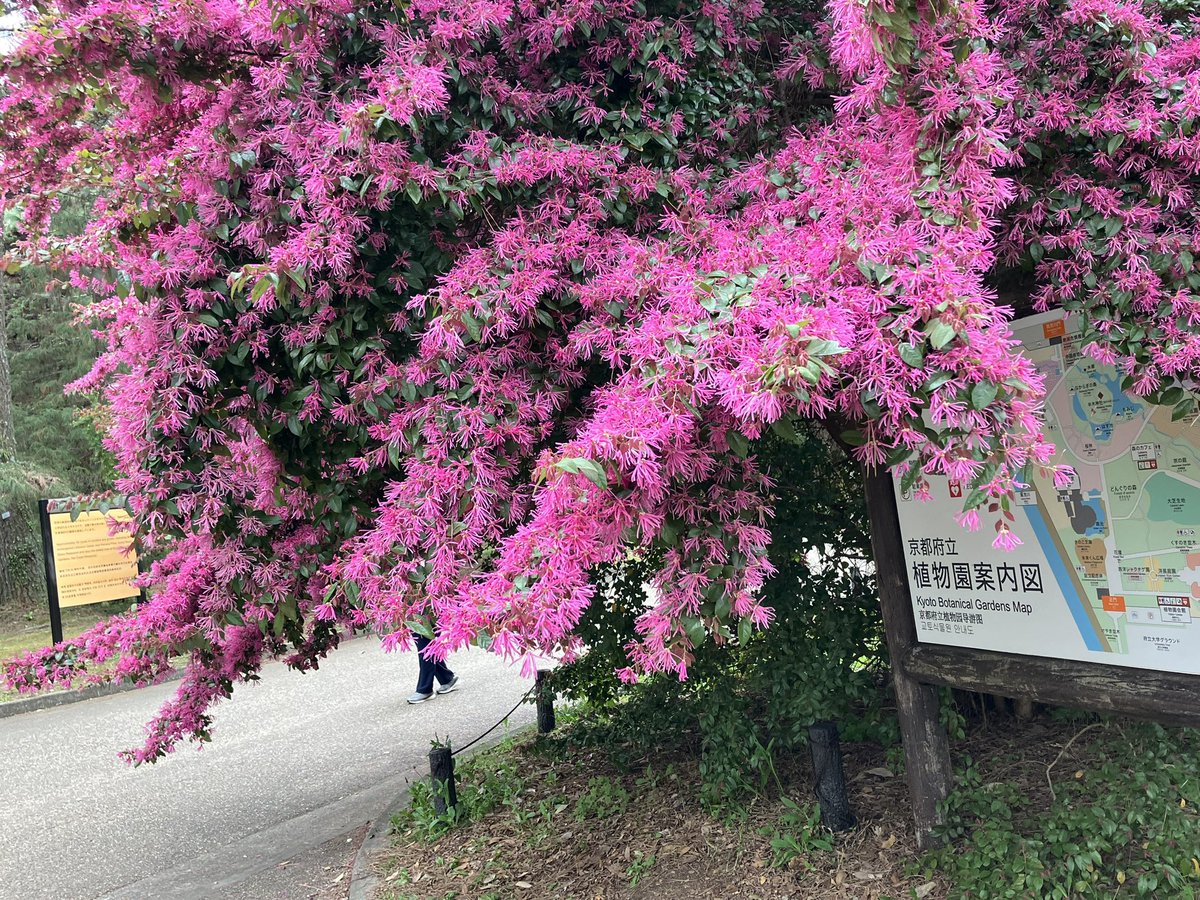 玉野百合子😸 tweet media