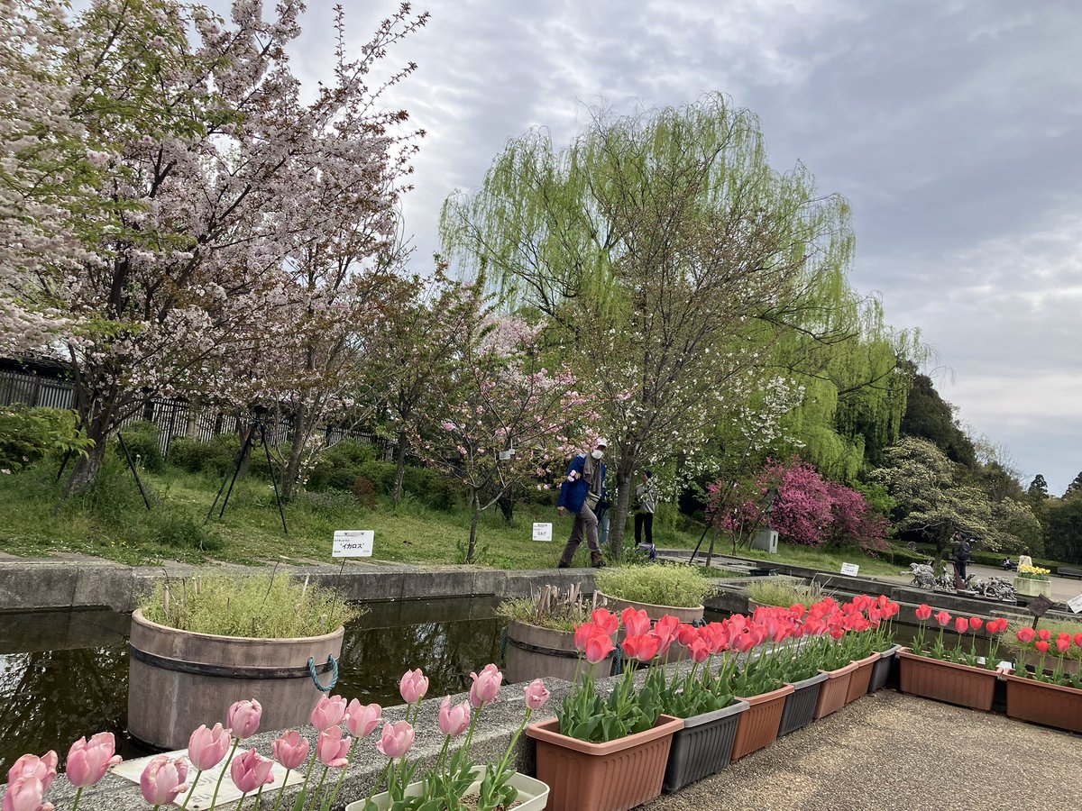 玉野百合子😸 tweet media