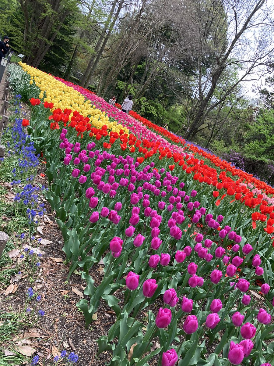 玉野百合子😸 tweet media