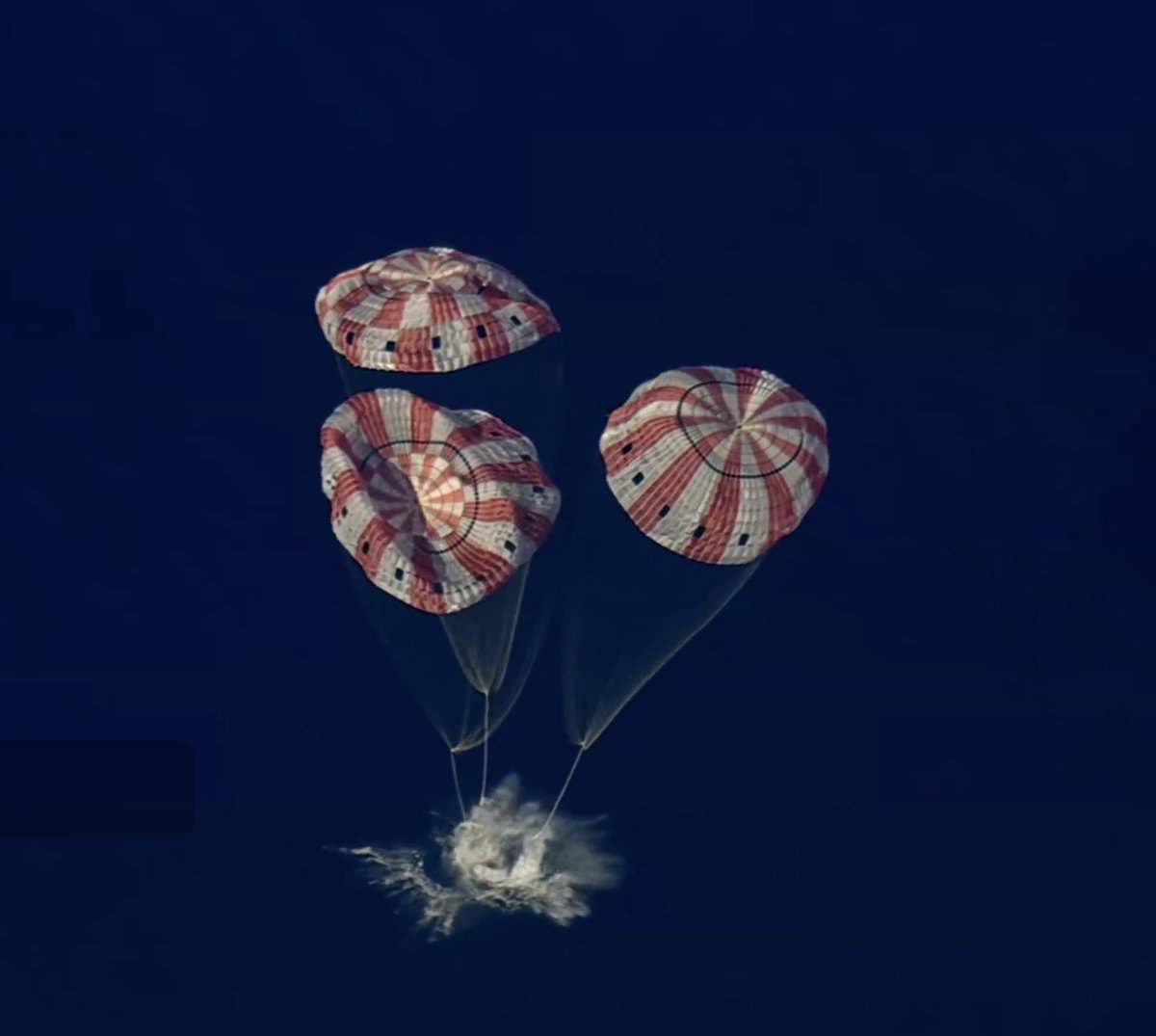 Moonfyye tweet media