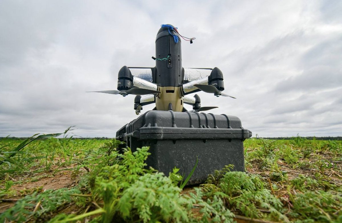 OSINT Portugal tweet media