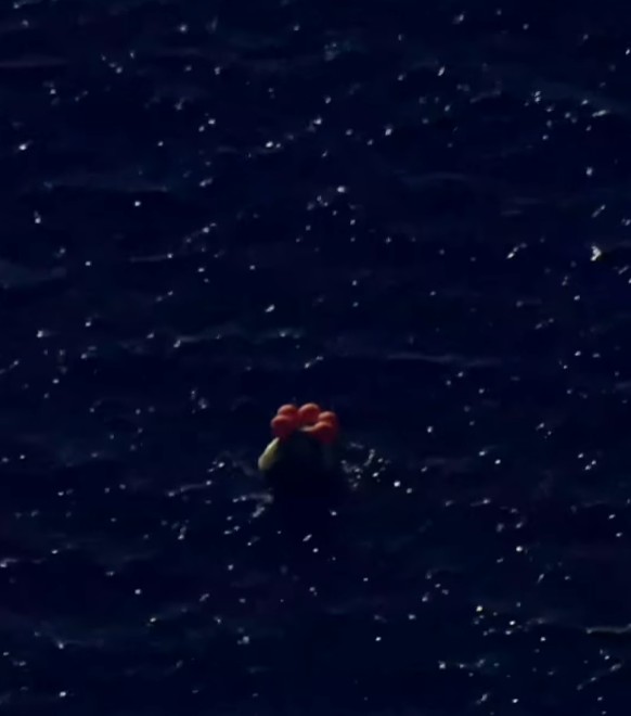 All day Astronomy tweet media