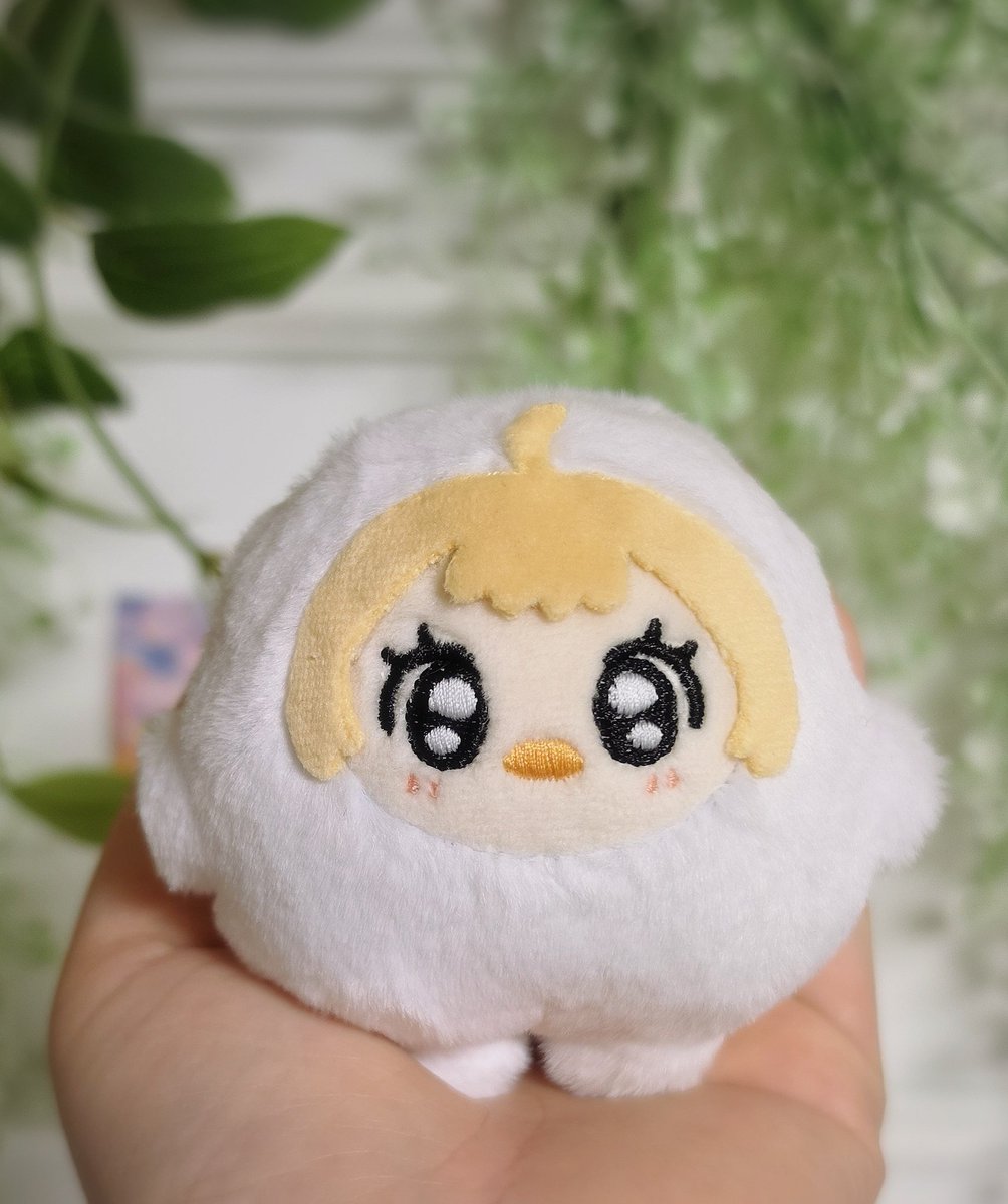 솜이다 tweet media