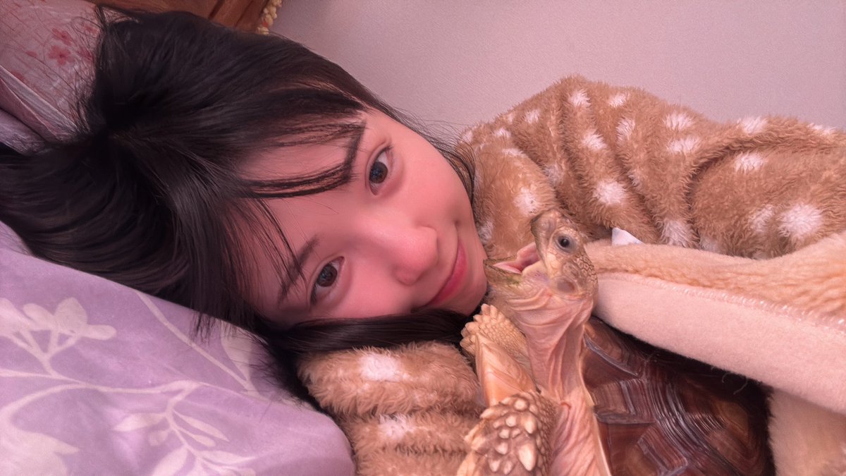 koma_channel__'s tweet photo. 🐢 https://t.co/cFuLZfIfkp