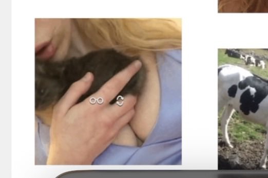 ♓️𝔢𝔠𝔥𝔦𝔷𝔢𝔯𝔞 𖤐₊˚.༄☾⋆ tweet media