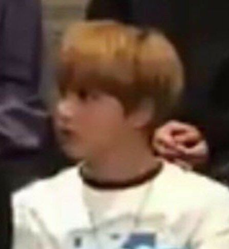 ‎𐔌 🦷♯ 𝘥꩜𝗹𝗹𝘪𝘴𝗵 #7DREAM .ᐟ.ᐟ | mh au📌 tweet media