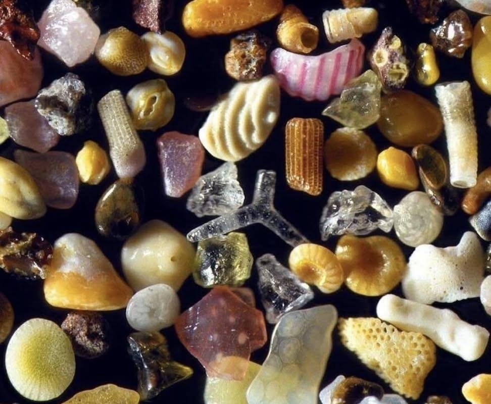 Le Contemplateur tweet media