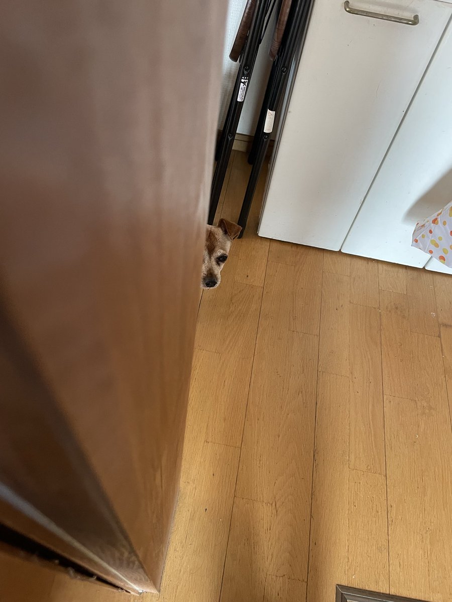 DaISUKE  DARK  SIDE tweet media