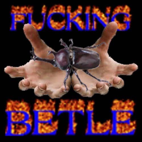 rio 🪲 bug oomf tweet media