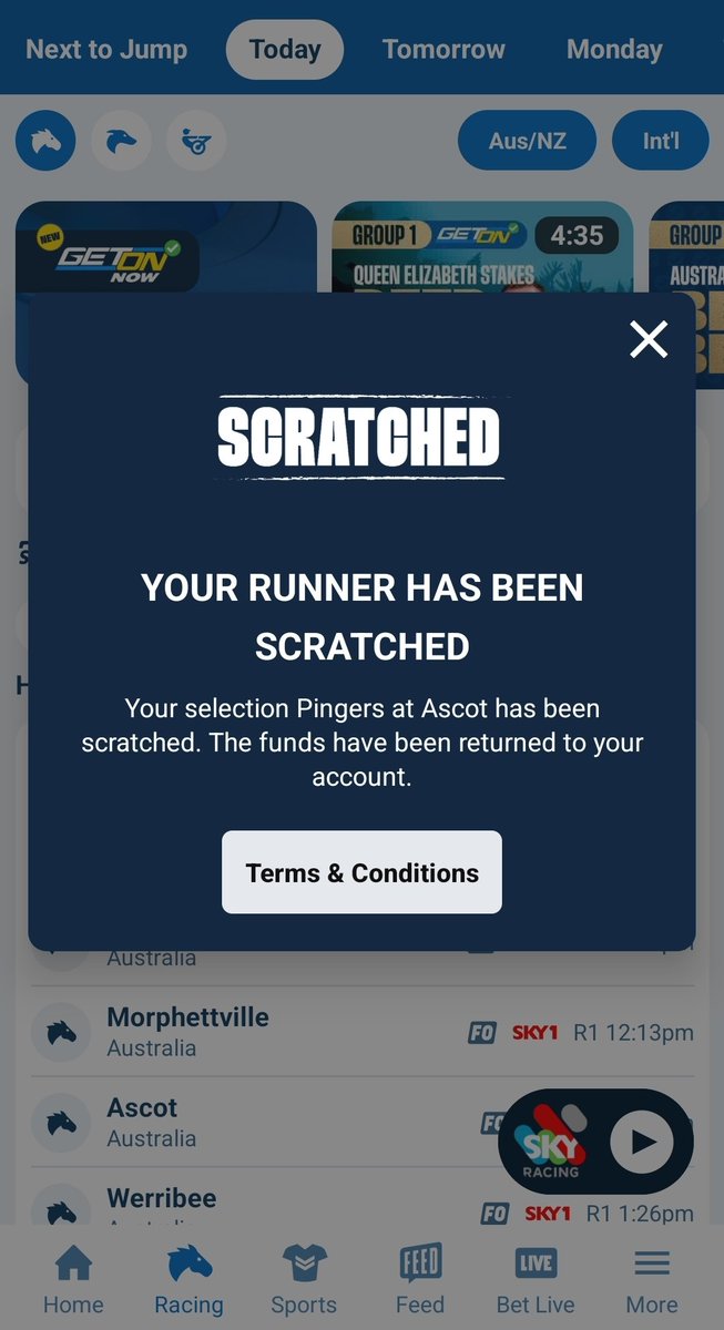 Day ruined <a href="/BenCaluzzi/">Ben Caluzzi</a> <a href="/WillElford/">Will Elford</a> <a href="/NicMcqualter/">Nic McQualter</a>