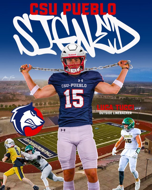 Luca Tucci tweet media