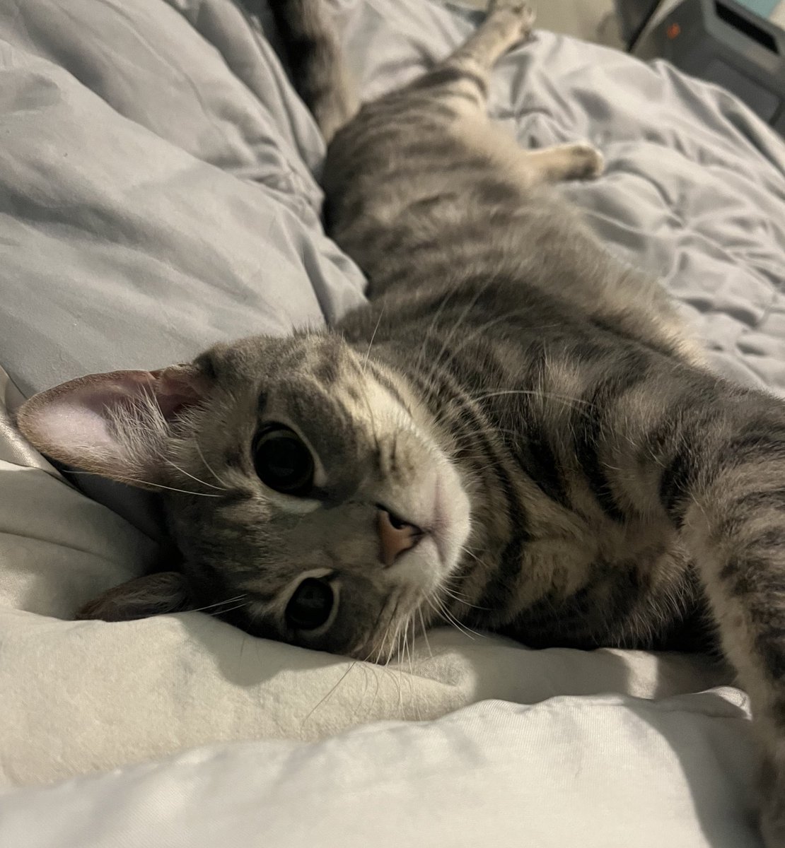 maya :) ⭐️ tweet media