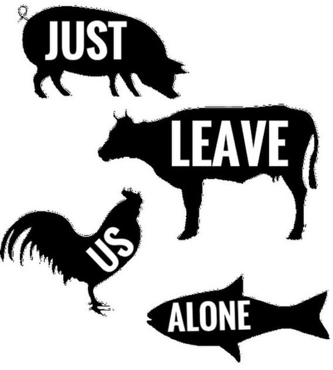 Vegan Future tweet media