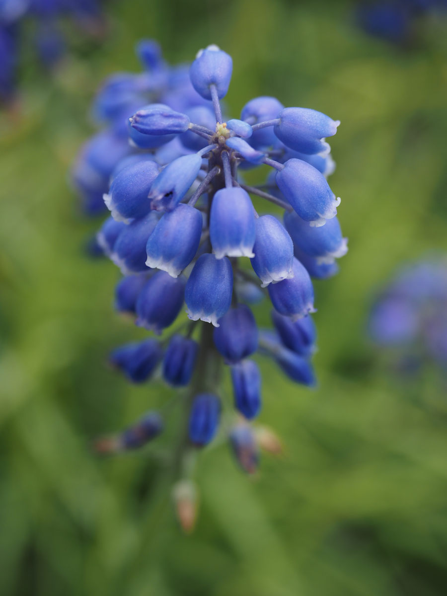 ゴリさん tweet media