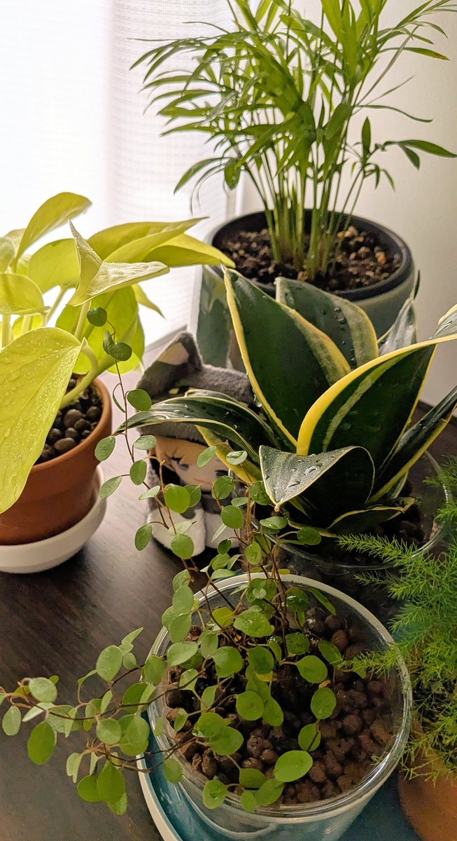 素敵な土曜日ということ