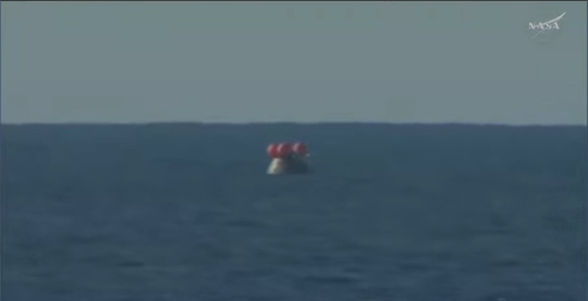 💙💚katoon is happy🍅🦊🚌 tweet media