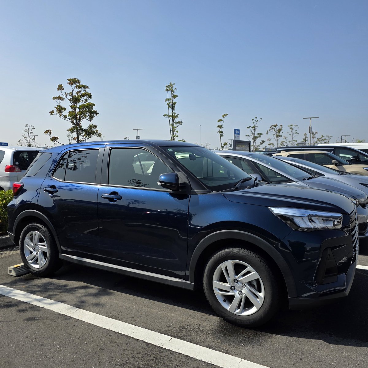 うさぎくん🦉❤️🖤🐟️ tweet media