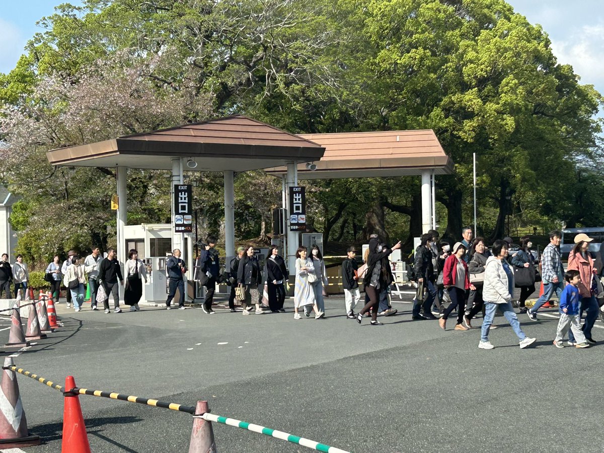 熊本市長 大西一史 tweet media