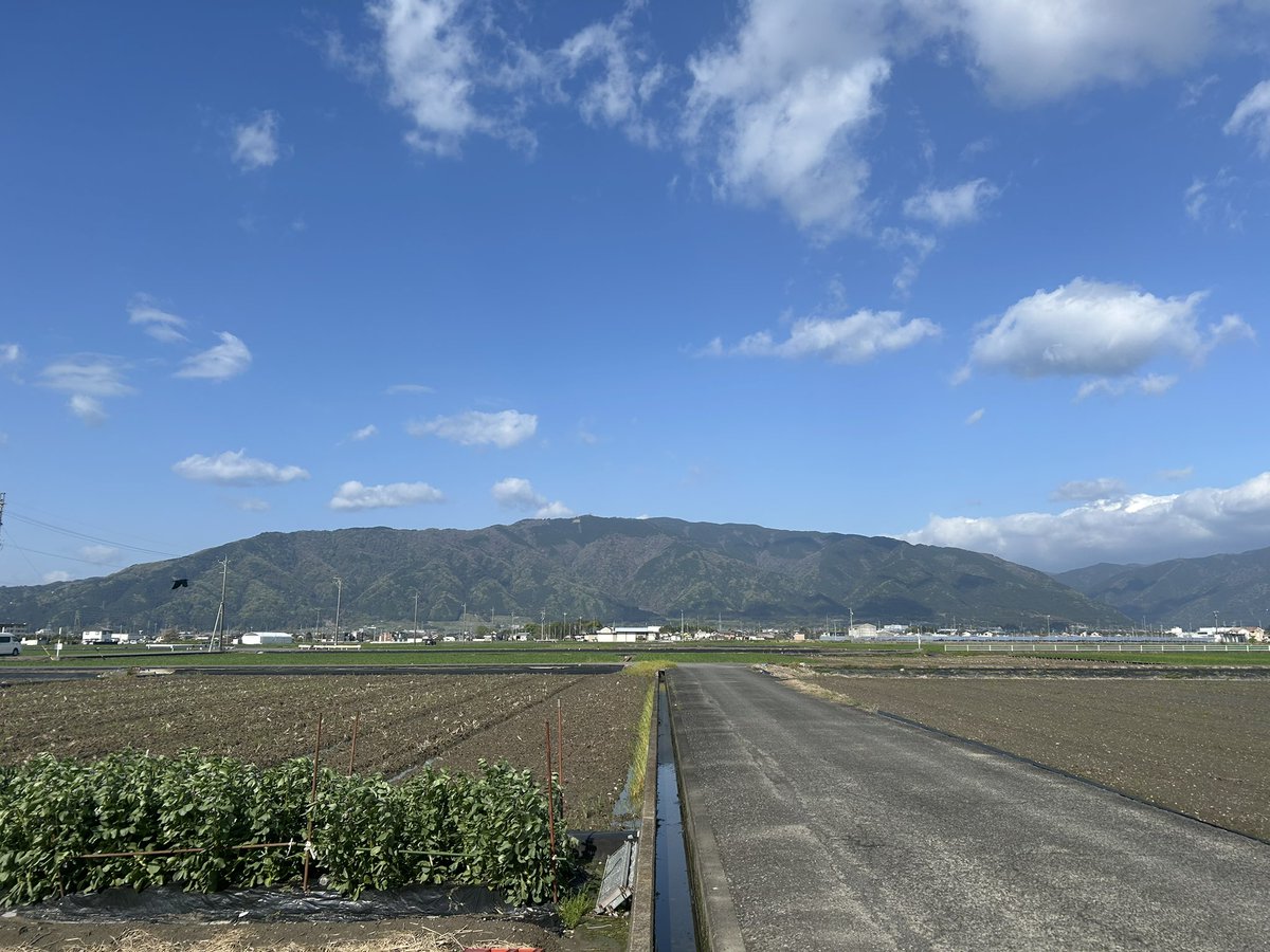 みか💐 tweet media