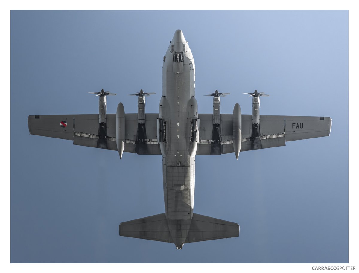 Carrascospotter tweet media