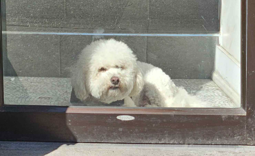 MARQ - V1 DEVOURER tweet media