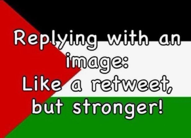 Watermelon Turtle tweet media