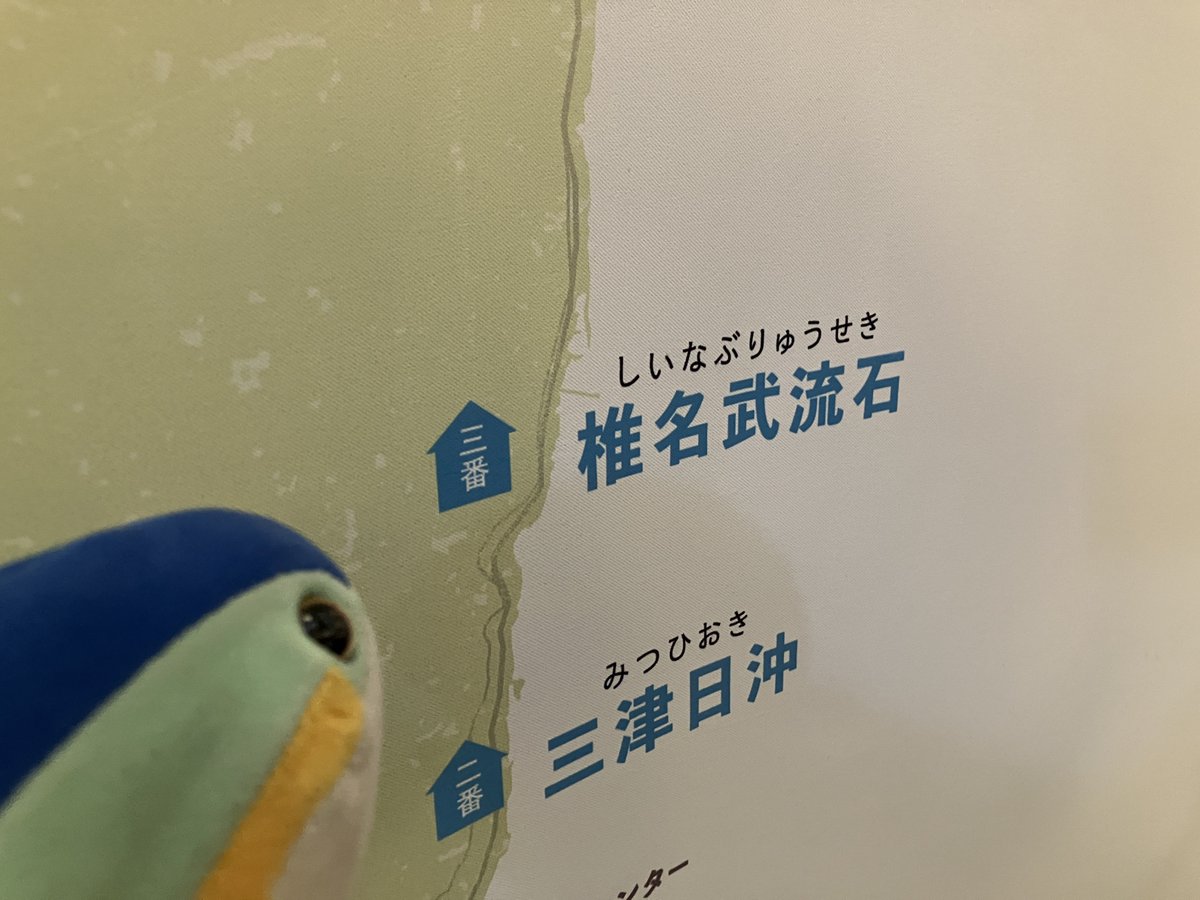 ブリ、世界だよ tweet media