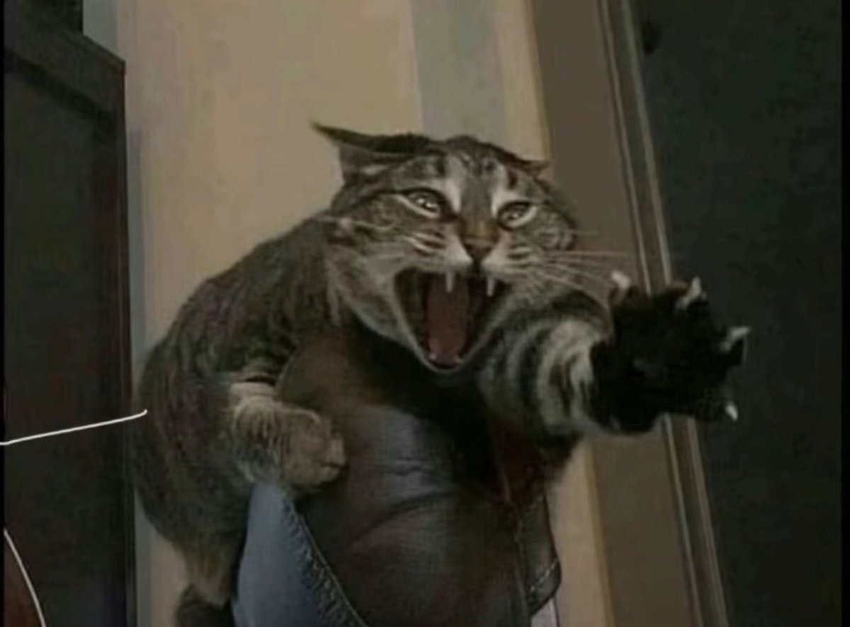 clo ⌬ ☻ ♥︎🇵🇸 tweet media