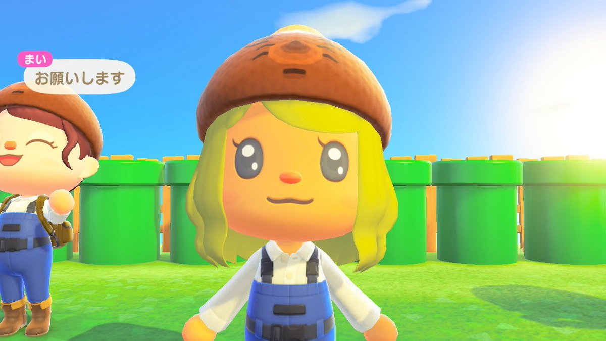 🌾おこめ tweet media