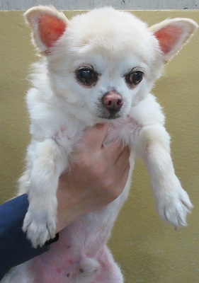 🦋* R U I *🦋 いのちと向き合う いつもありがとうございます NO WAR tweet media