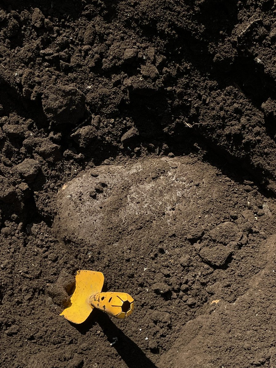 星善之 tweet media