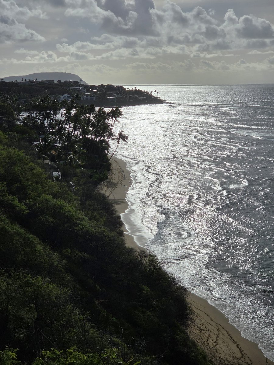 avi_sanitiser tweet media