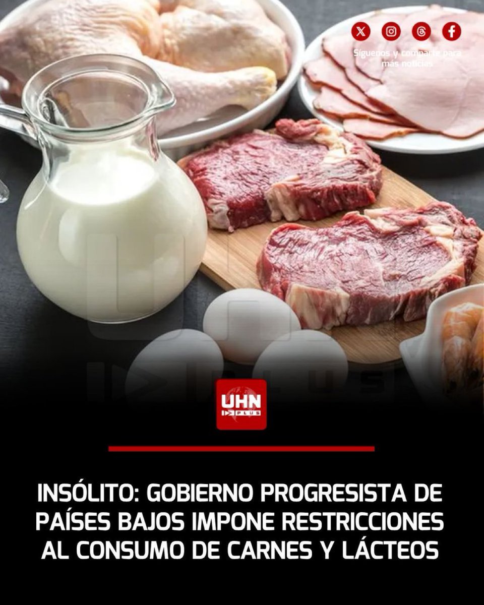 BowTiedMara tweet media