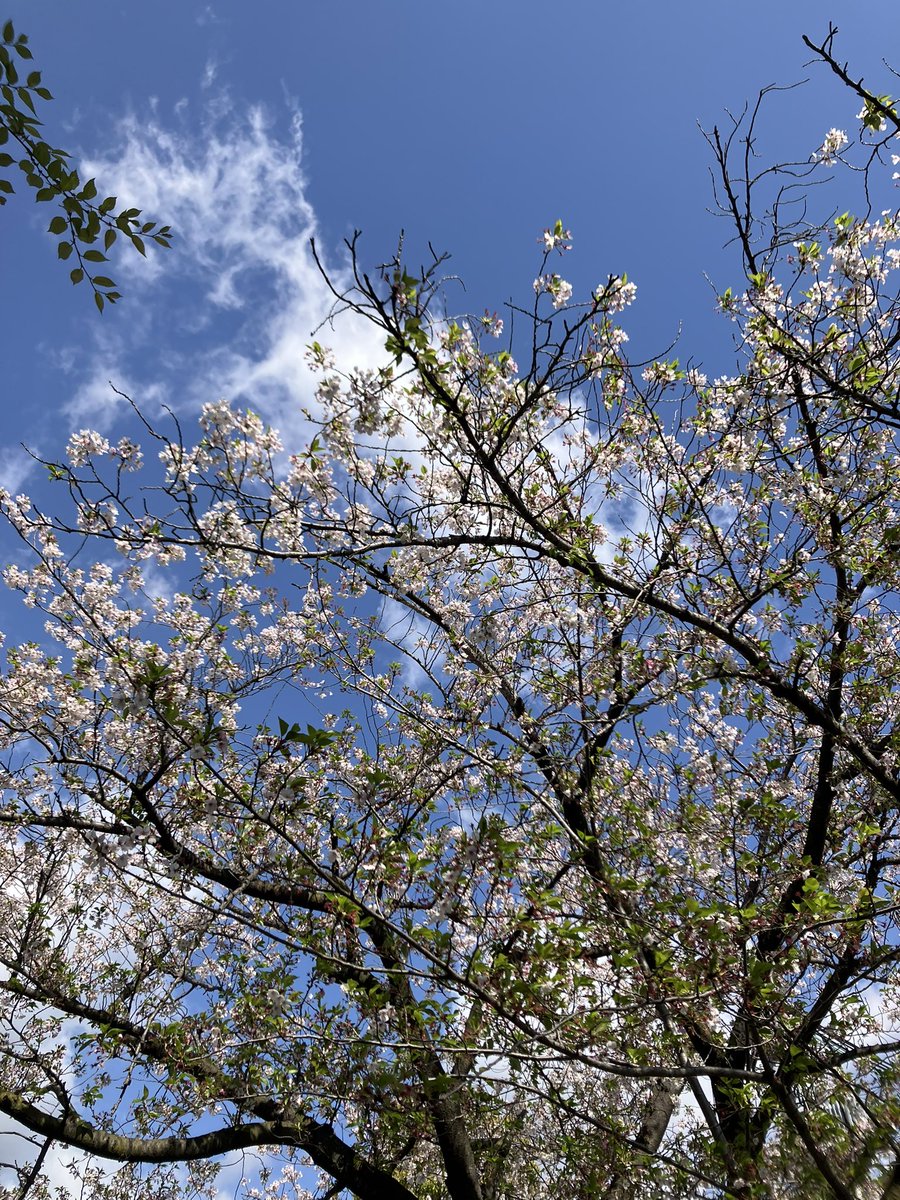 水咲邦明🕊️ tweet media