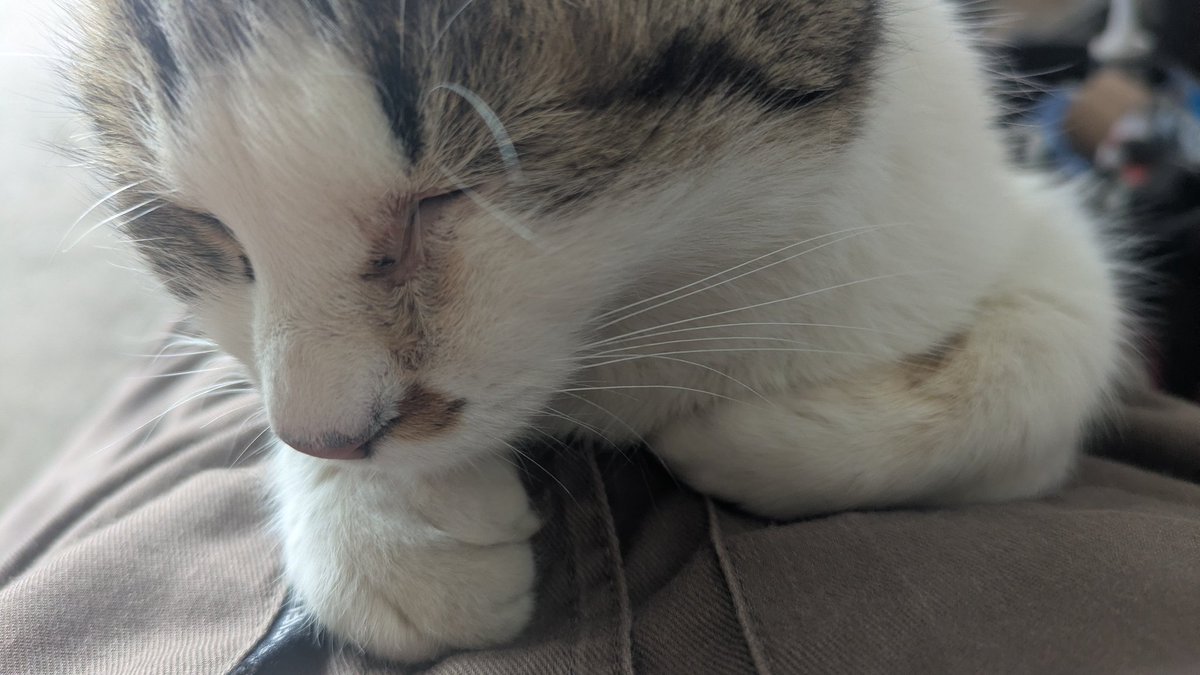 たかし@支部長 tweet media