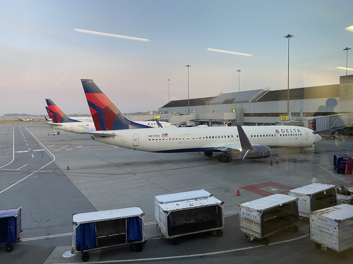 Bezu Halliwell tweet media