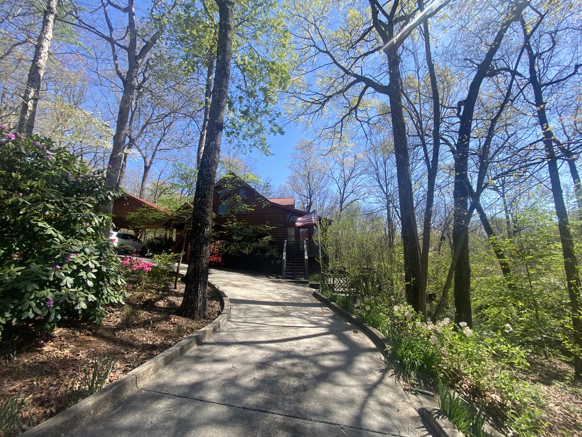 Bezu Halliwell tweet media