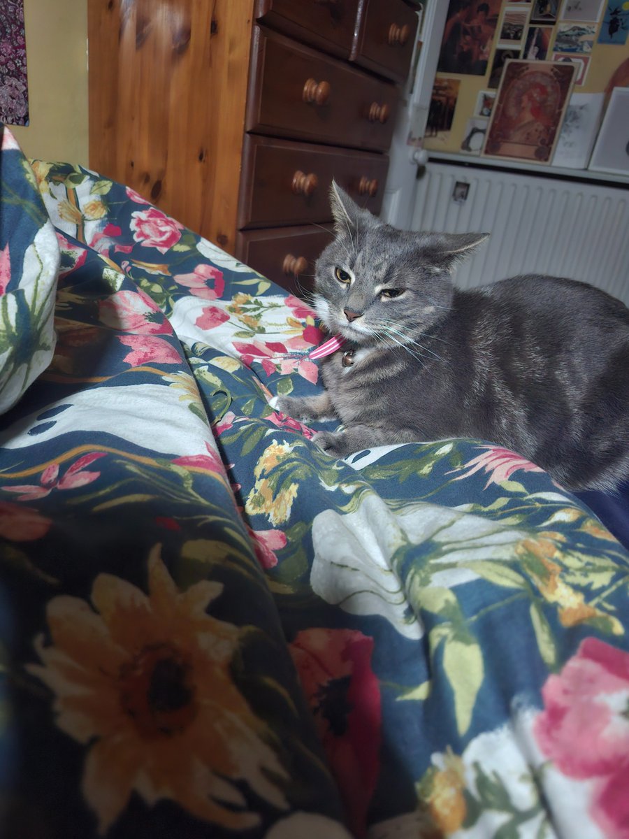 Miri✨みりりん tweet media