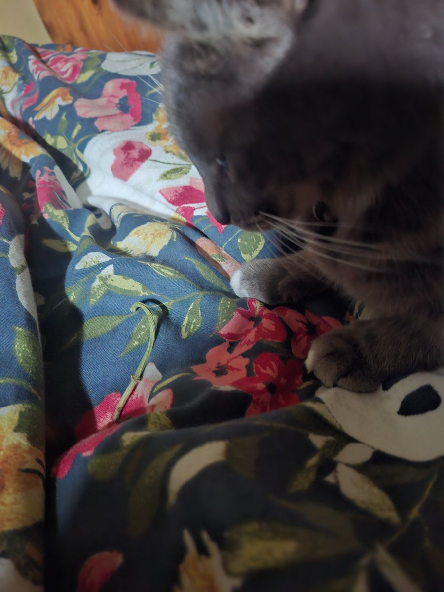 Miri✨みりりん tweet media