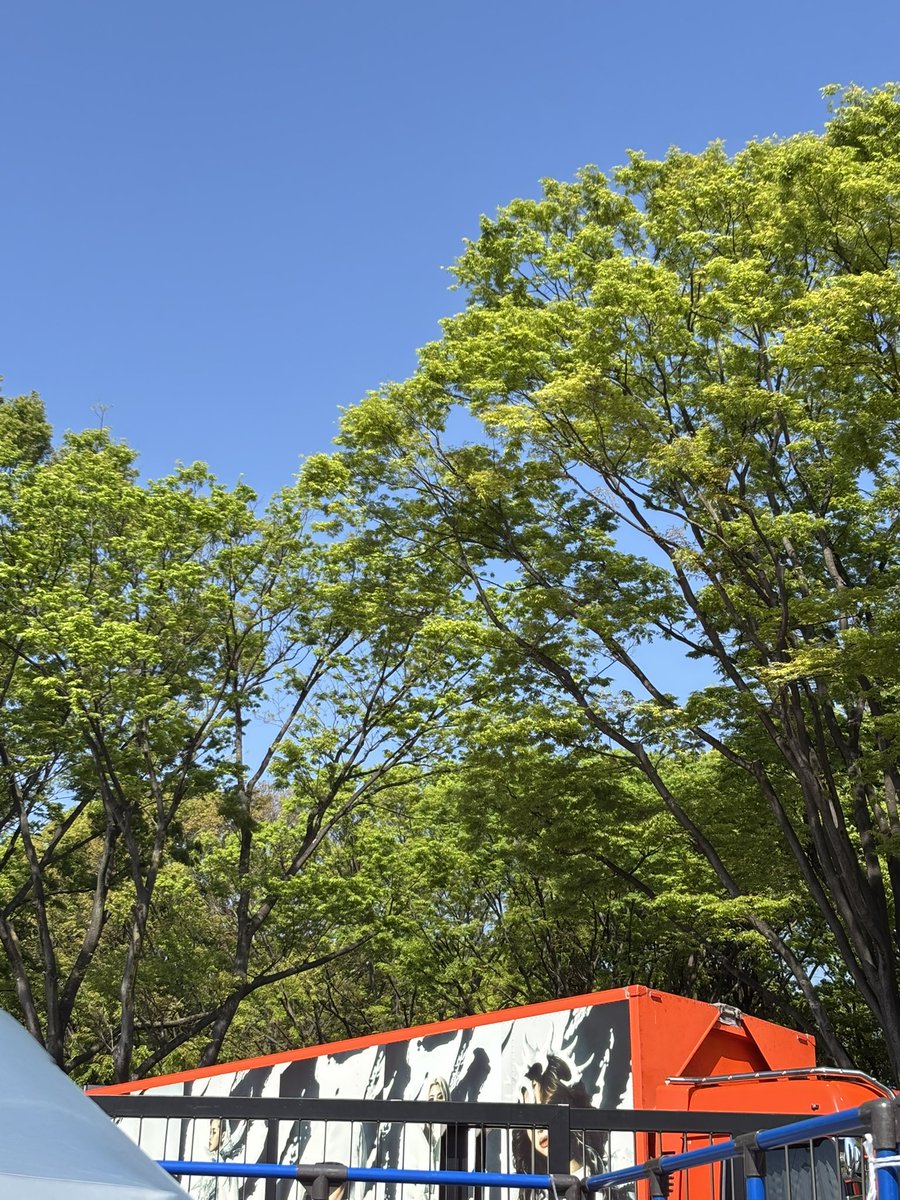 kitty_yuki's tweet photo. 自然を感じたい時は緑🌱 https://t.co/m2rzbVMGP2