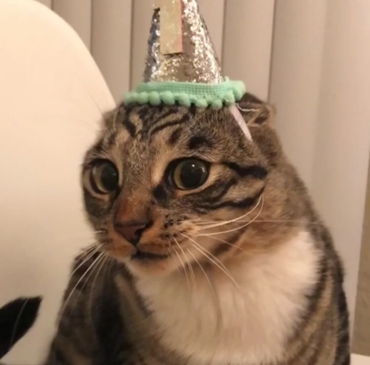 Saucylot tweet media