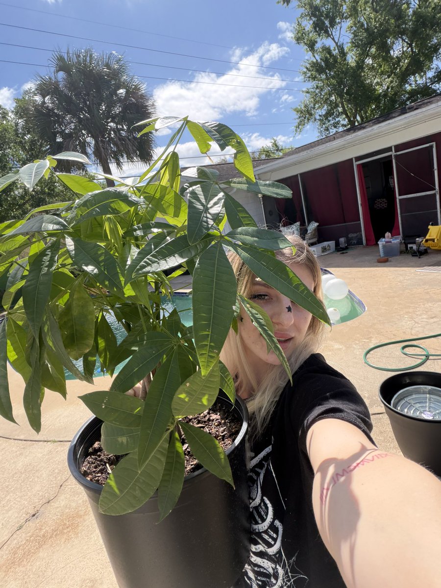 _lucifette's tweet photo. Some of the living things that keep me alive 
#lucifette #lucifetteslair #cactus #cacti #freshair #mentalclarity #gardening #plants #succulents #plantmom https://t.co/km4fts1RfQ