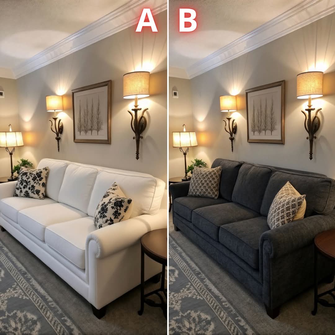 Sara Mary ⭐❤️ tweet media