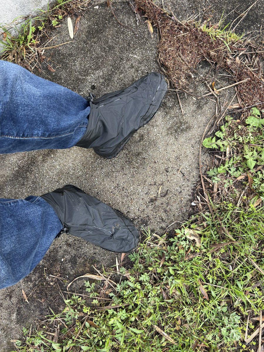 ほういん🌜🏃♀️➡️👩❤️👨🏃♂️🌛 💃🕺🦎🪭 tweet media